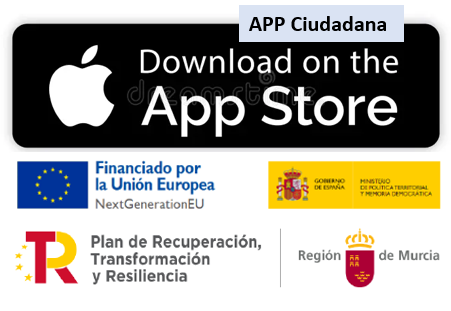 Servicios